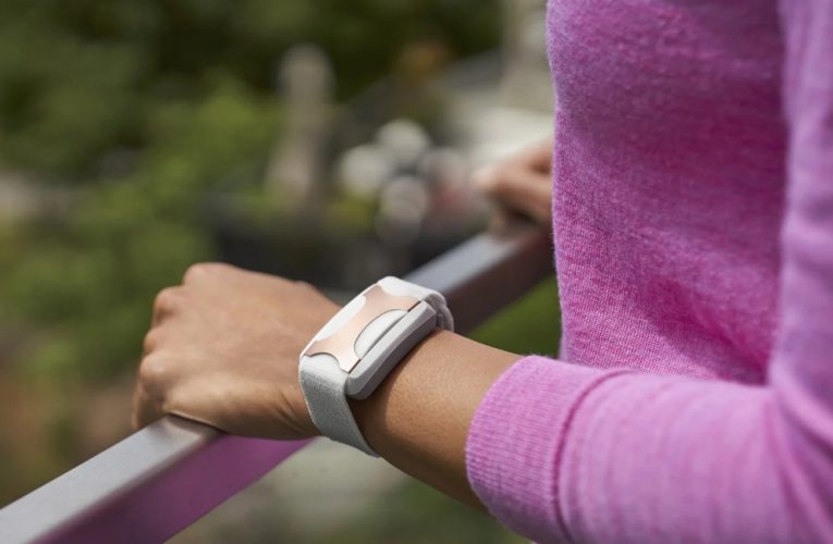 Aurora: Can a Wearable Device Reduce Stress?